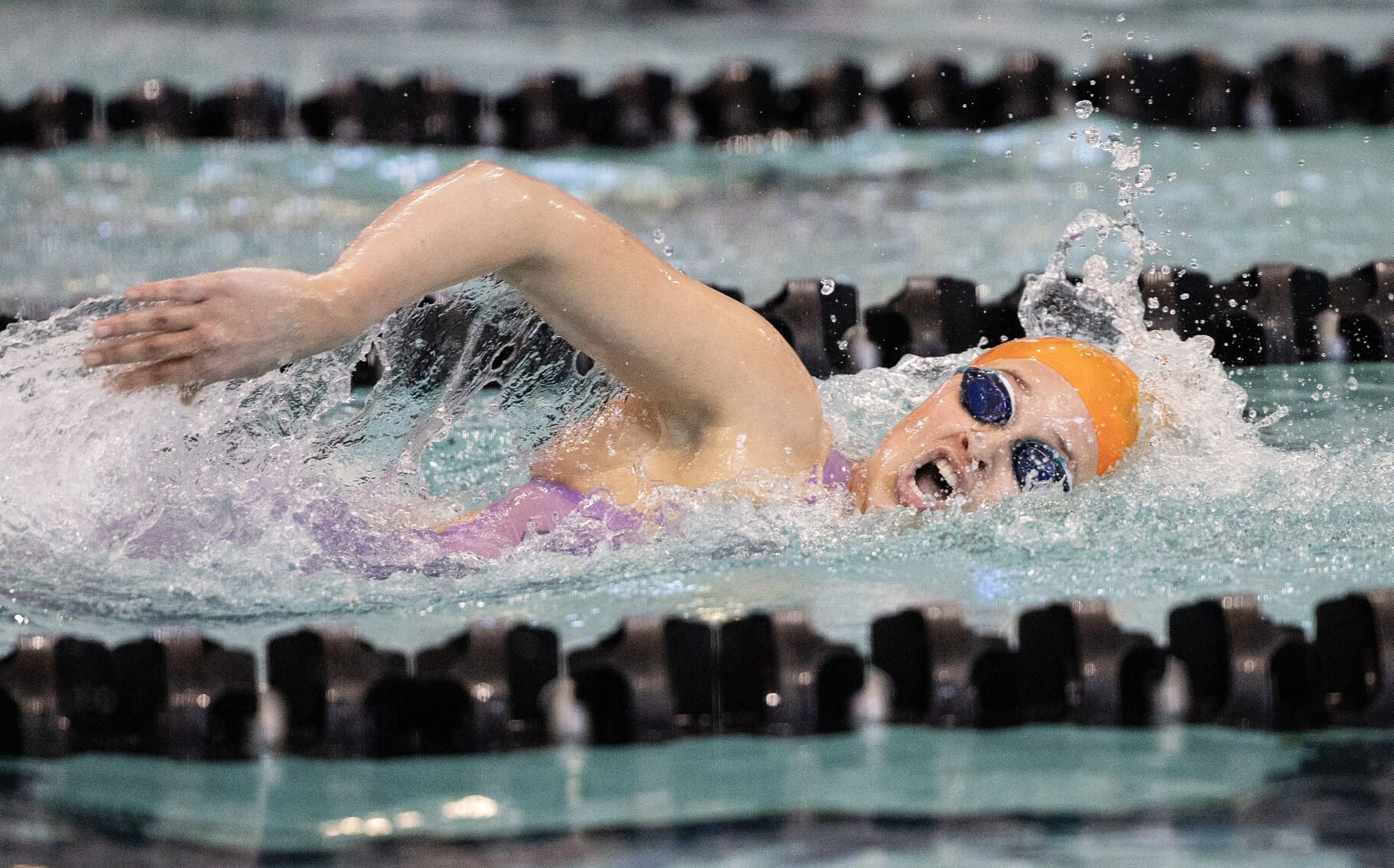 Class 1 Swimming and Diving championship meet